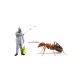 Ant Control Treatment